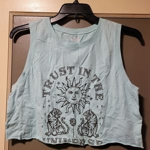 Hollister crop Tee sz Large